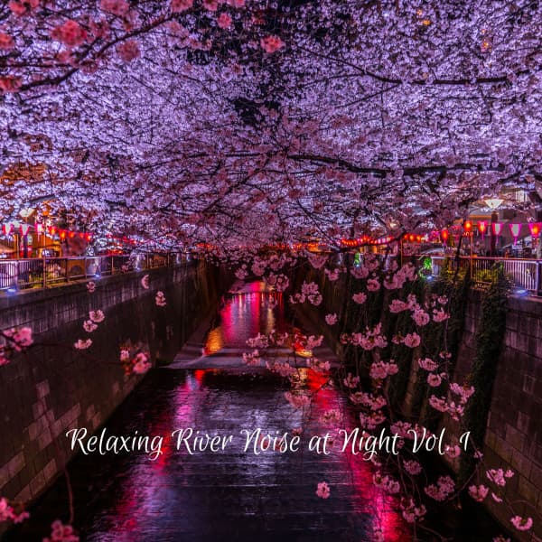 Relaxing River Noise at Night Vol. 1 - Dog Relaxation