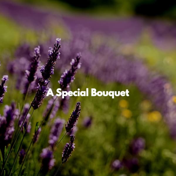 A Special Bouquet - Classic Instrumental Jazz
