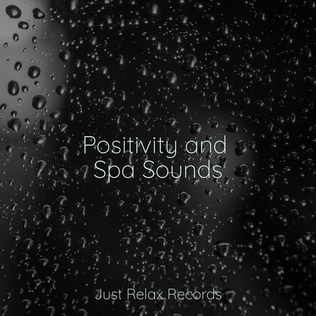 Positivity and Spa Sounds - Zen