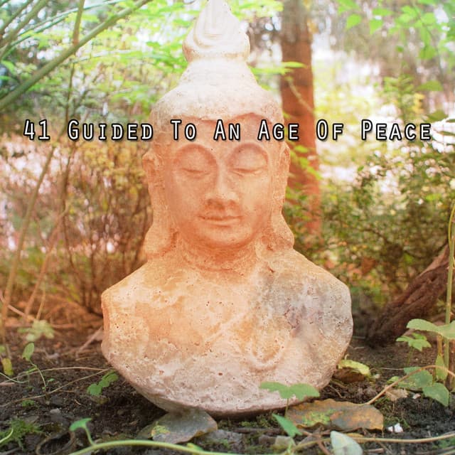 41 Guided To An Age Of Peace - Rising Higher Meditation