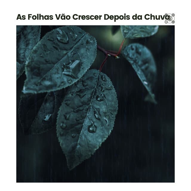 As Folhas Vão Crescer Depois da Chuva - Chuva Dormir