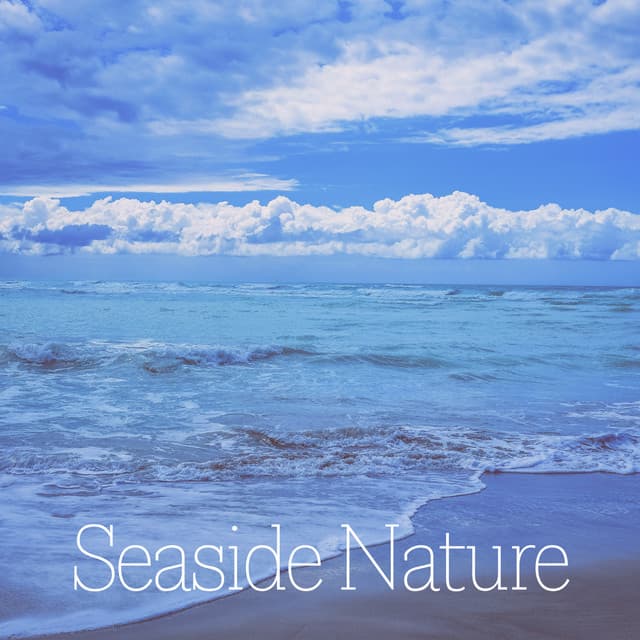 Seaside Nature – Relaxing Music with Seaside Sounds of Nature - Calm Sea Ambient