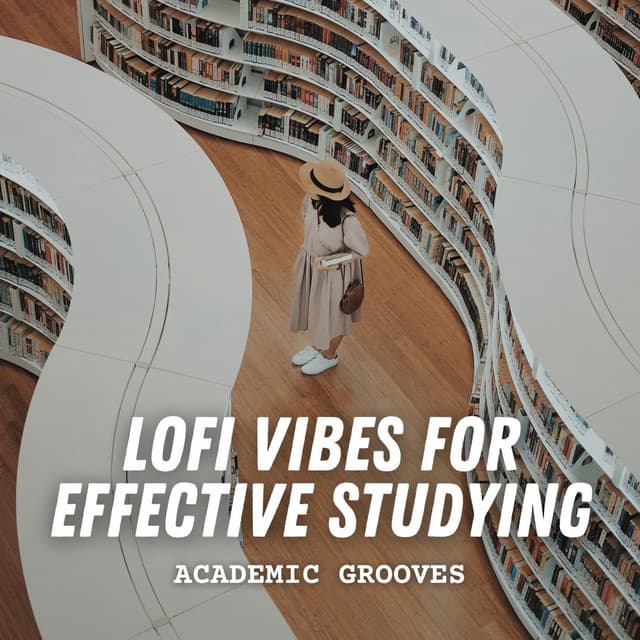 Academic Grooves: Lofi Vibes for Effective Studying - Lofi Hop-Hop beats