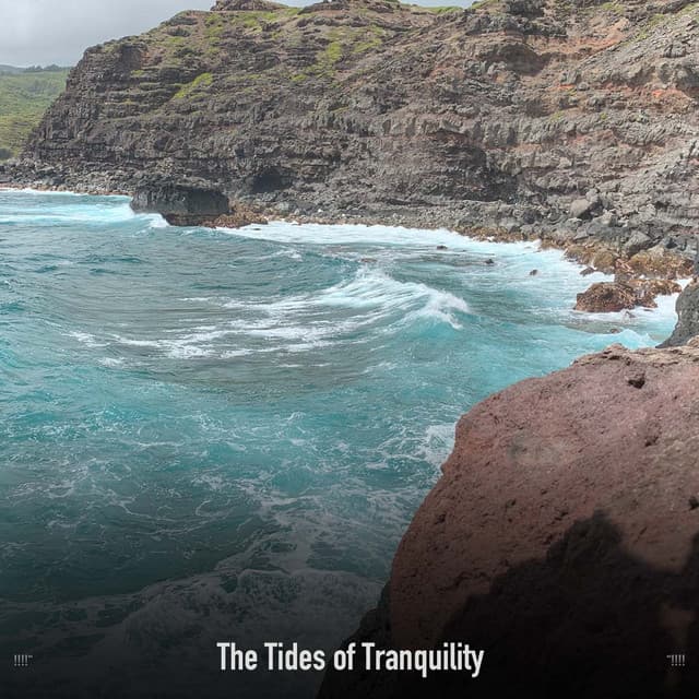 !!!!" The Tides of Tranquility "!!!! - Ocean Waves