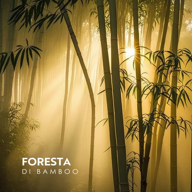 Foresta di bamboo - George Woode