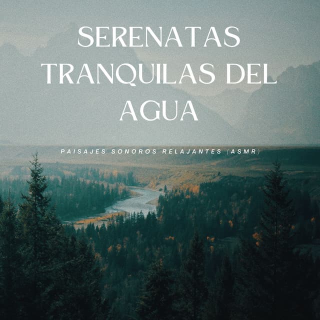 Actitud Relajada