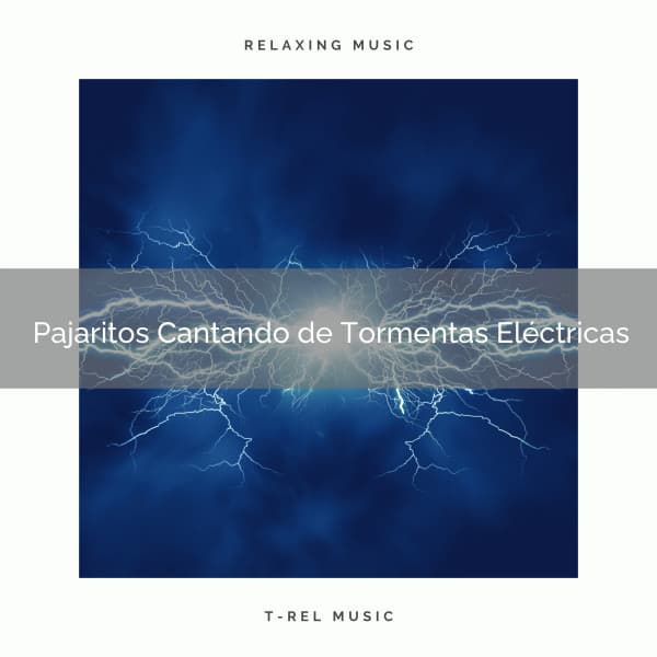 1 Pajaritos Cantando de Tormentas Eléctricas - Academia de Música con Sonidos de la Naturaleza