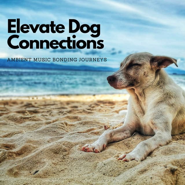 Elevate Dog Connections: Ambient Music Bonding Journeys - The Connected Mind