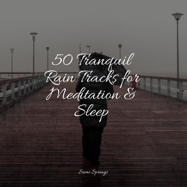 50 Tranquil Rain Tracks for Meditation & Sleep - Children's Music