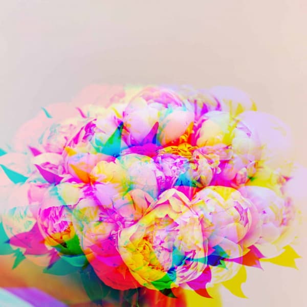 Piano Bossa Duo - Background for Evening Intros - Musica Jazz di Sottofondo