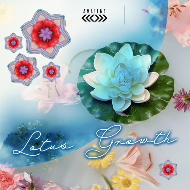 Lotus Growth - Ambient
