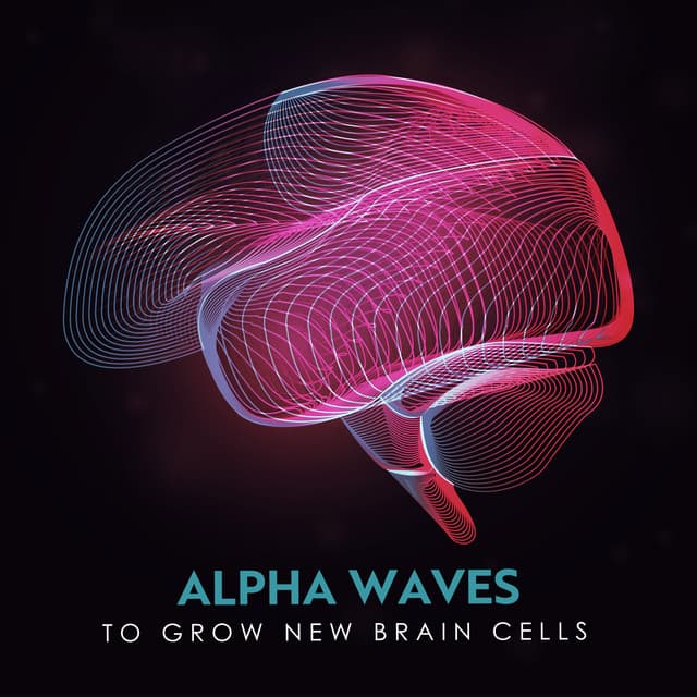 Neural Flow to Grow New Brain Cells - Kate - Caroline Peace