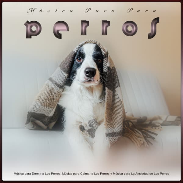 Música Pura Para Perros
