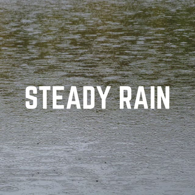 Steady Rain - Rain FX