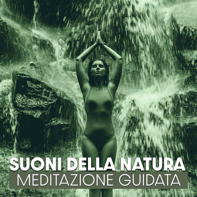 Suoni della natura: Meditazione Guidata, Mindfulness, Rilassanti per dormire, Musica curativa - Suoni naturali zen