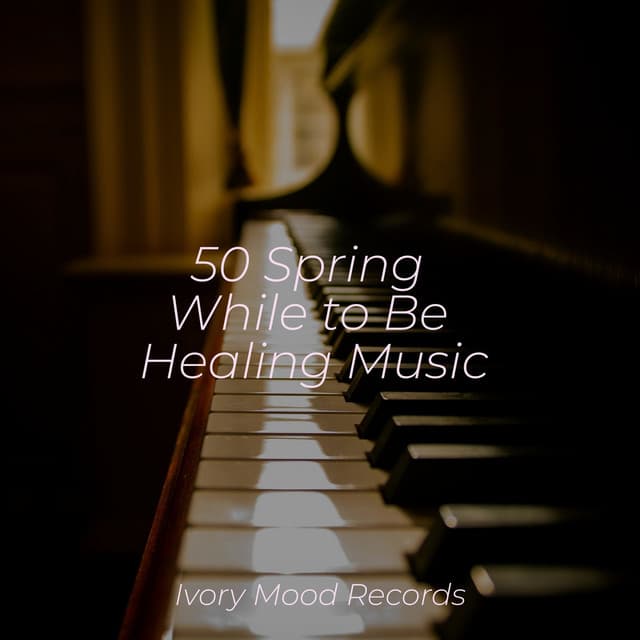 50 Spring While to Be Healing Music - Ivory Mood