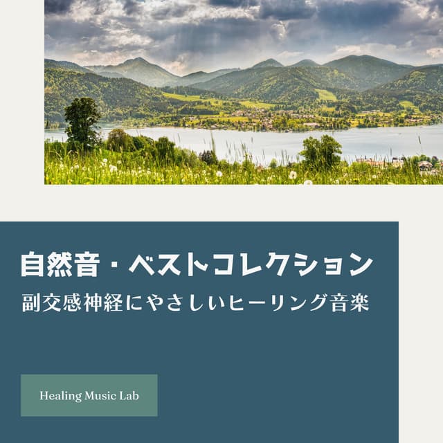 Best Nature Sounds - Healing Music for Parasympathetic Calm - Healing Music Lab