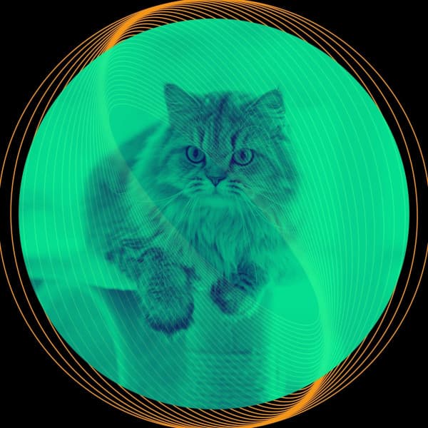 Music for Cats and Dogs Relaxation - Música para dormir Gatos