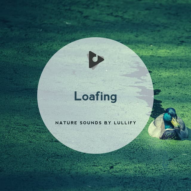 Loafing - Nature Sounds by Lullify