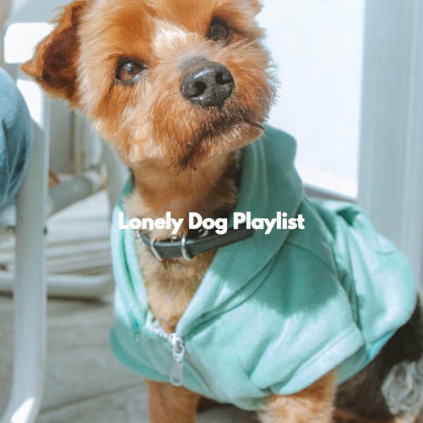 Lonely Dog Playlist - Doggy Relaxing Sounds