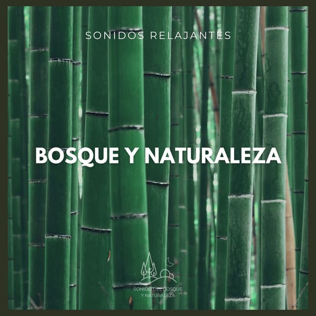 Sonidos Relajantes: Bosque y Naturaleza - Sonido Del Bosque y Naturaleza