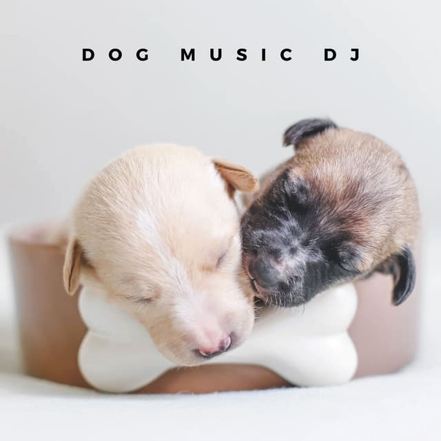 Comfort Music For Puppies - Dog Music DJ