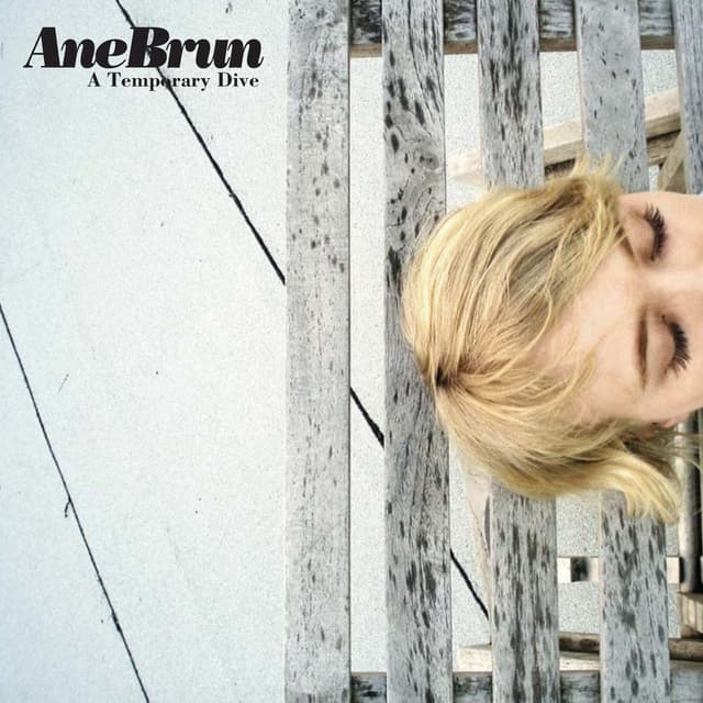 A Temporary Dive - Ane Brun