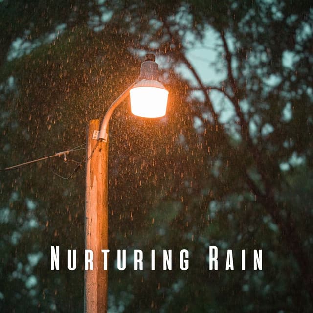 Nurturing Rain: Baby's Blissful Slumber with Crystal Singing Bowl - The Rain Sounds Nature Experts