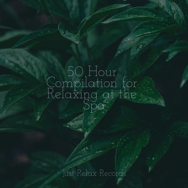 50 Hour Compilation for Relaxing at the Spa - Reiki Tribe