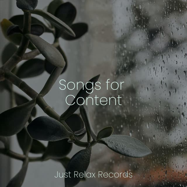 Songs for Content - Schlaflieder Für Kinder