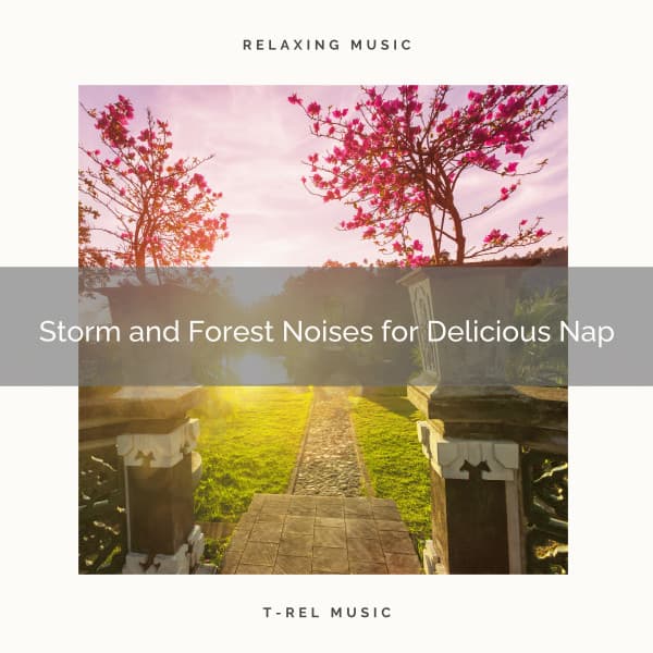 Storm and Forest Noises for Delicious Nap - Calming Rain