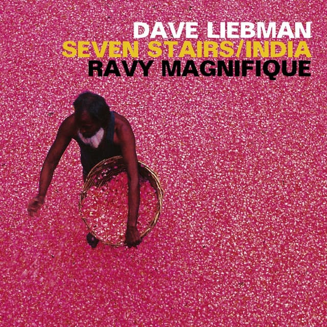 Seven Stairs / India - Dave Liebman