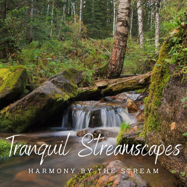 Tranquil Streamscapes: Relaxing Waterscapes - Water Meditations