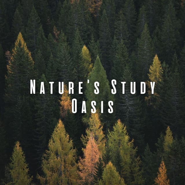 Nature's Study Oasis: Relaxing Sounds for Concentration and Learning - 101 Nature