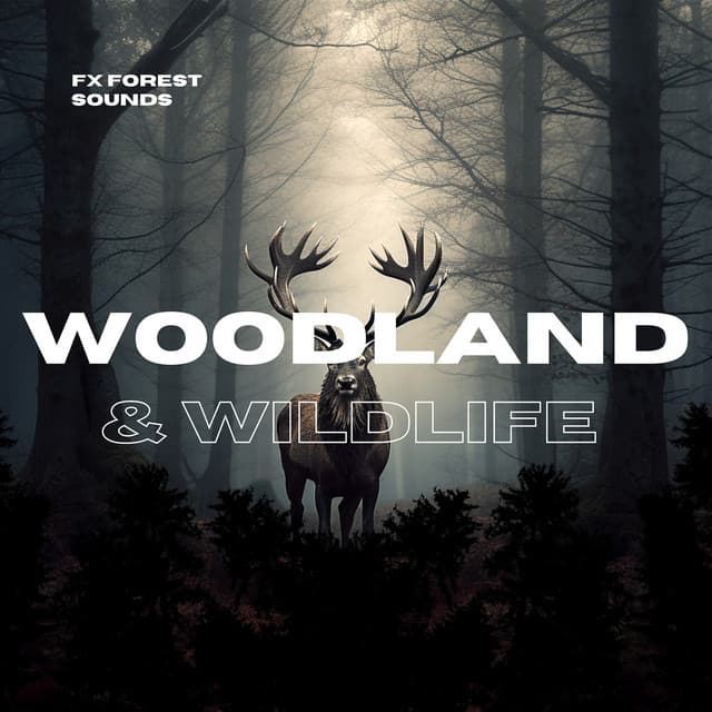 Woodland & Wildlife Nature Sounds - FX Forest Sounds