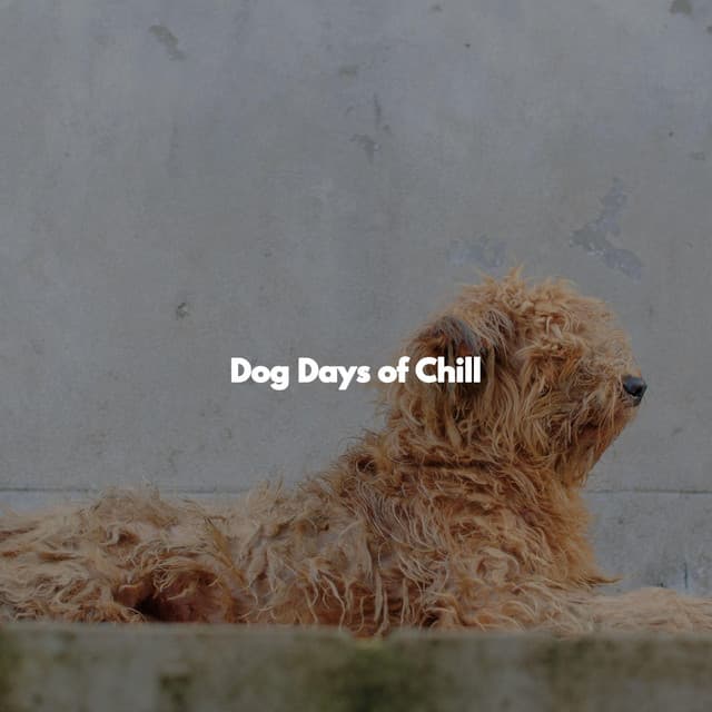 Dog Days of Chill - Easy Morning Music