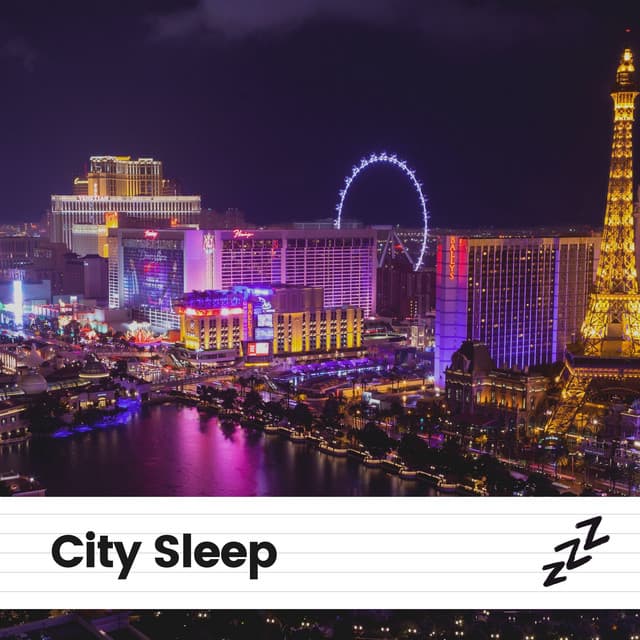 City Sleep - Insomnia Cure Maestro