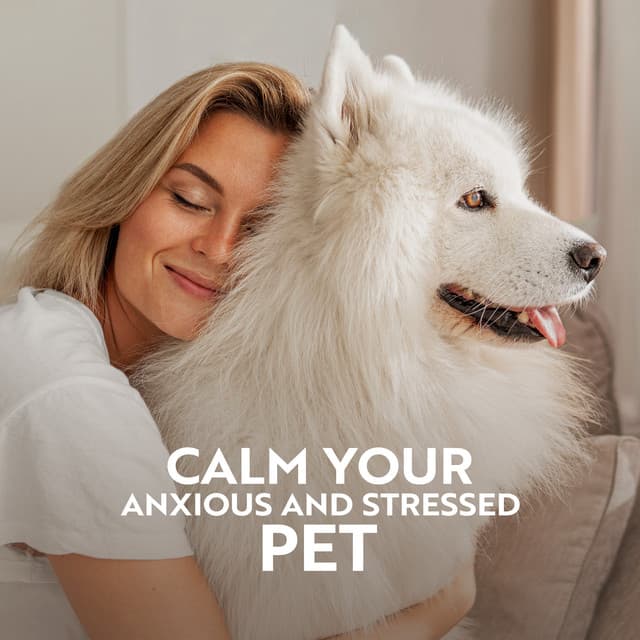 Calm Your Anxious and Stressed Pet - Pet Care Club