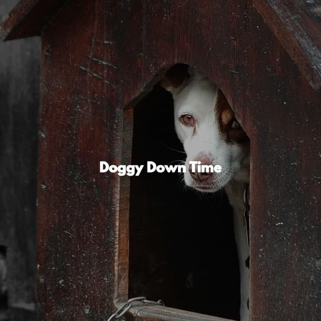 Doggy Down Time - Jazz for Dogs