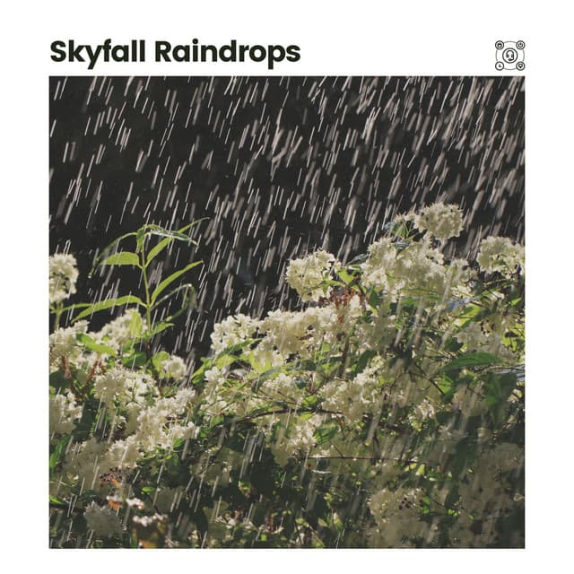 Skyfall Raindrops - Rainfall Place
