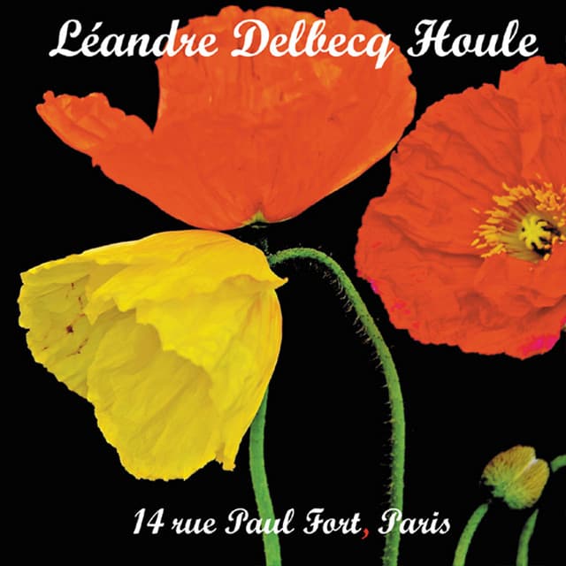 14 Rue Paul Fort, Paris - Joëlle Léandre