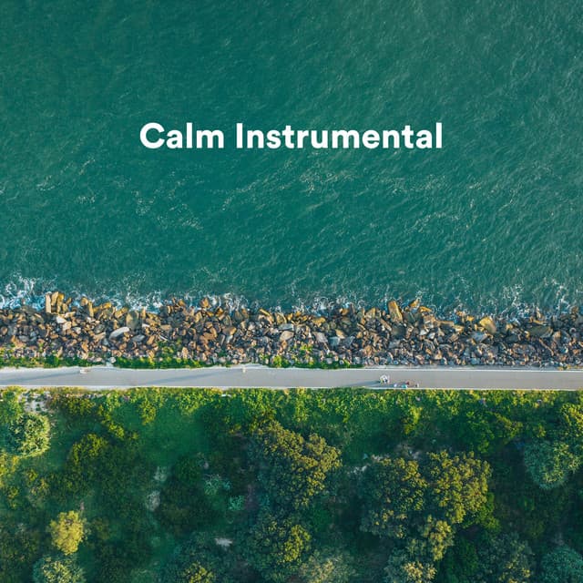 Calm Instrumental - Spa Music Relaxation Therapy