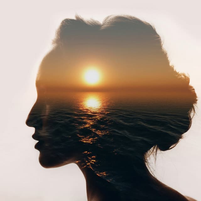 Moments of Quiet Reflection and Harmony - Harmonious Calm