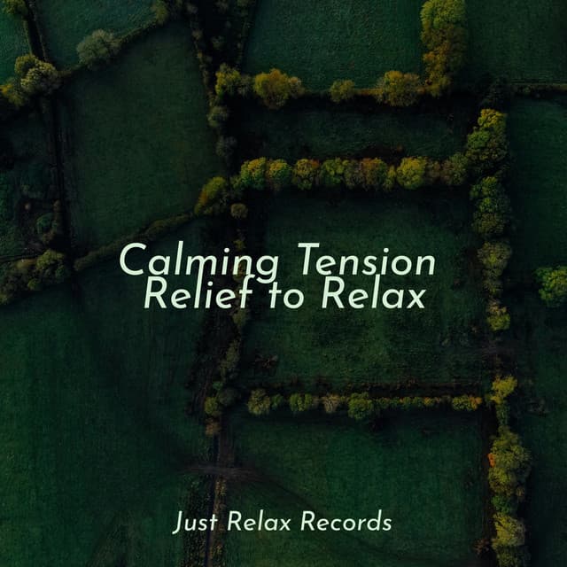 Calming Tension Relief to Relax - Meditation Relaxation Club