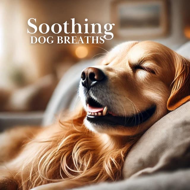 Soothing Dog Breaths - Animal Melody Wizard