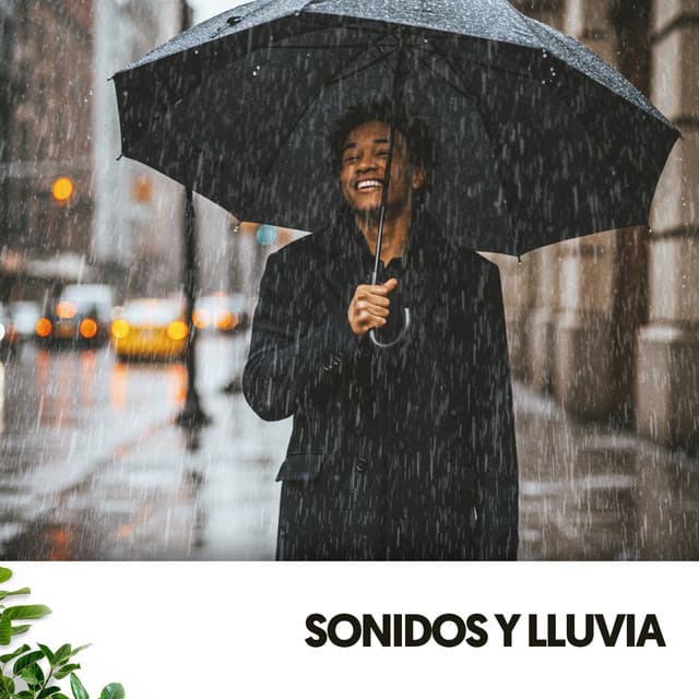 Sonidos y Lluvia: Melodías de la Naturaleza - Relajacion