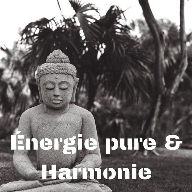Énergie pure & Harmonie: Zen méditation ambiance - Musique pour Détendre en Temps Libre