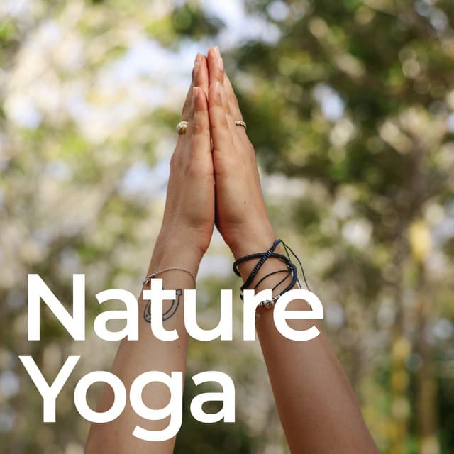 Nature Yoga - Yoga Stretching