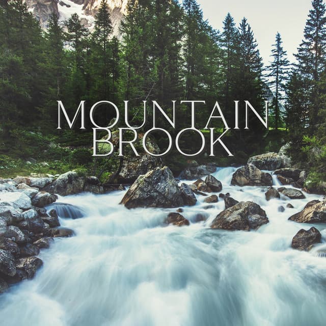 Mountain Brook: Meditative Music with Running Water for Relaxation, Release Stuck Emotions, Find Inner Balance, Calming Mountain Mindfulness - Water Music Oasis