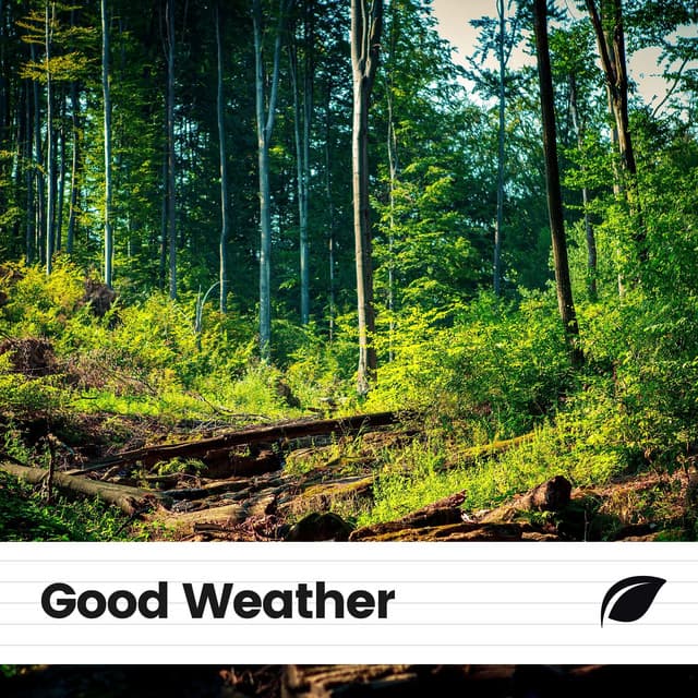 Good Weather - Nature Calm